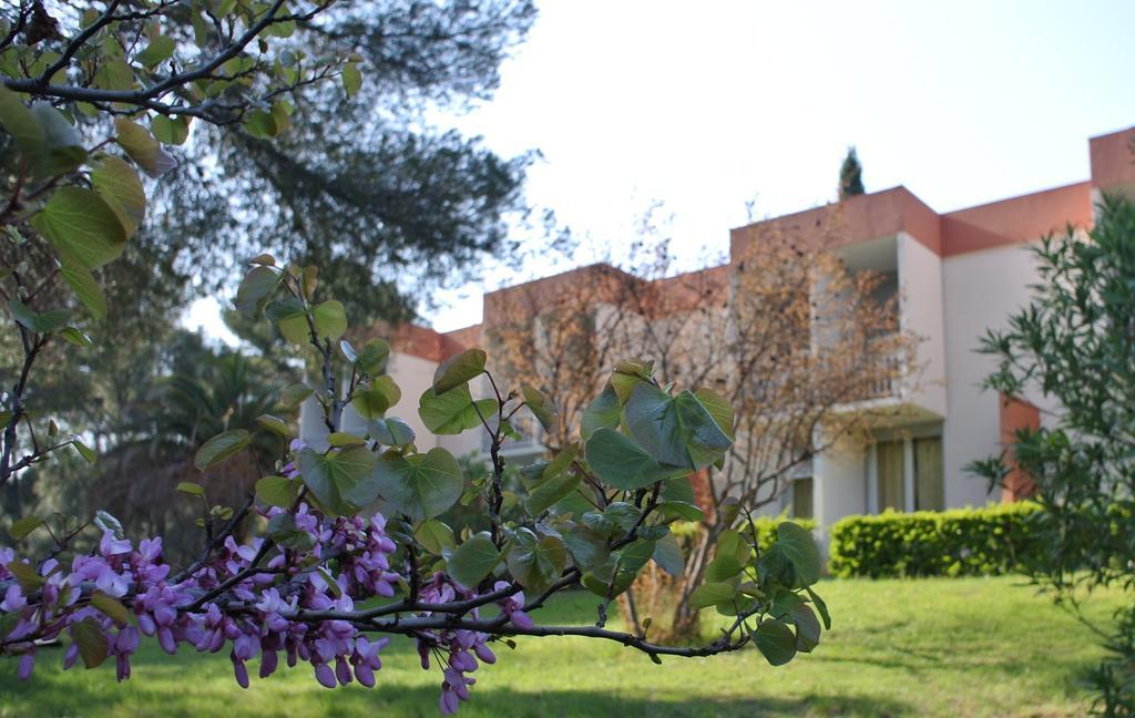 Le Domaine Des Oliviers Apartment Saint-Cyr-sur-Mer Ngoại thất bức ảnh