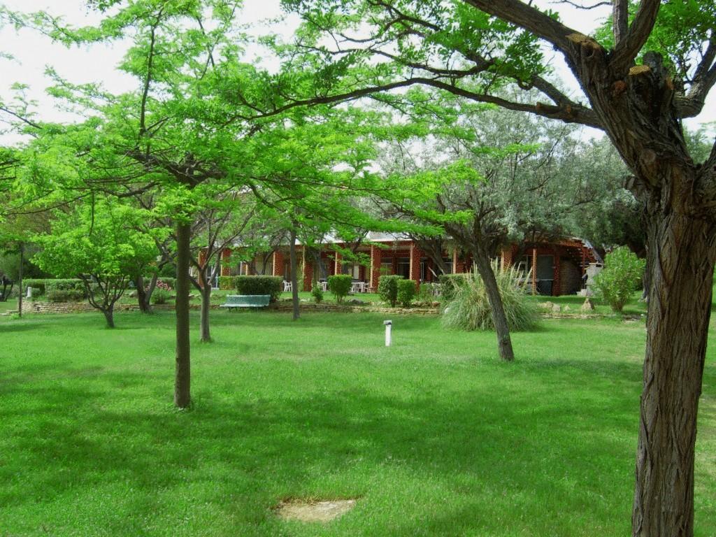 Le Domaine Des Oliviers Apartment Saint-Cyr-sur-Mer Ngoại thất bức ảnh